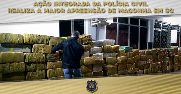 Ação integrada da Polícia Civil realiza a maior apreensão de maconha em SC