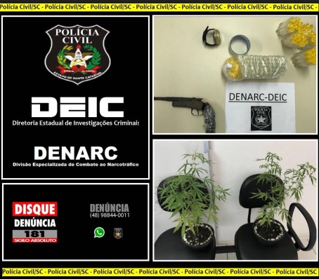 DENARC-DEIC-PCSC apreende lança perfume e maconha e realiza prisão em flagrante de um homem