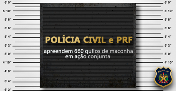 Polícia Civil e PRF apreendem 660 quilos de maconha em ação conjunta